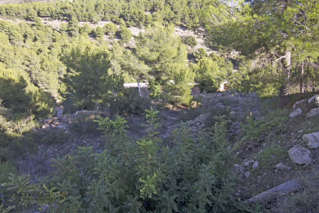 Van mijn Atalaya - 2/2