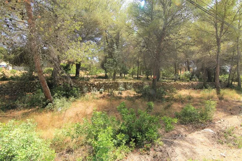 For sale plot in Javea for Pinomar urbanization - 3/5