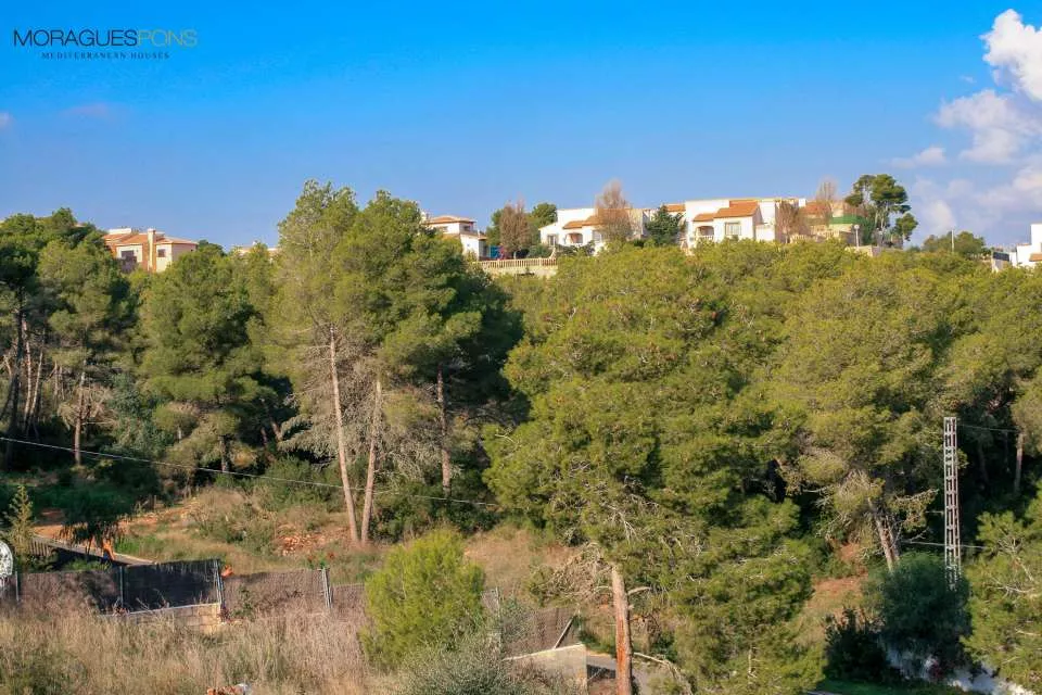 Parcela en venta situada en la tranquila y consolidada zona de Costa Nova, en Jávea. - 1/2