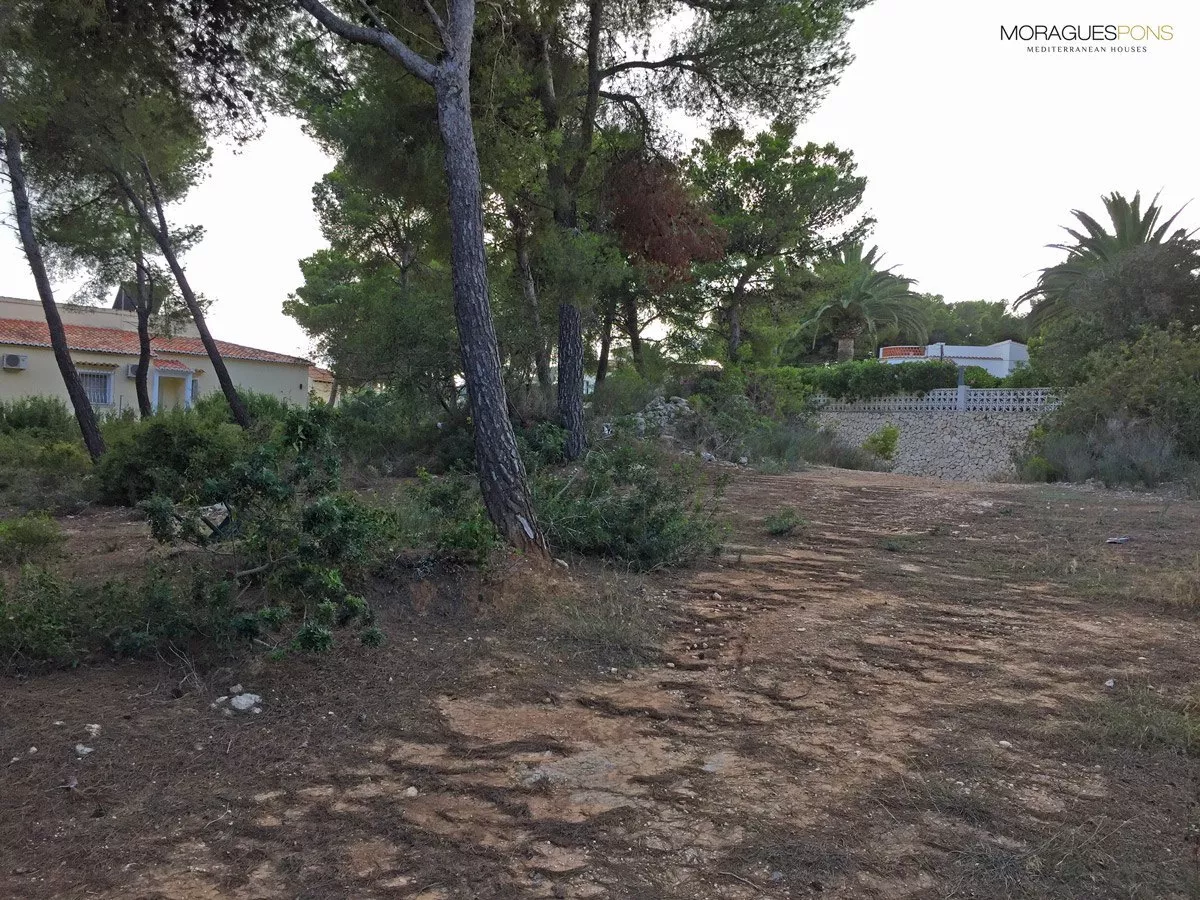 Für Verkauf-Grundstück in Jávea - 3/6