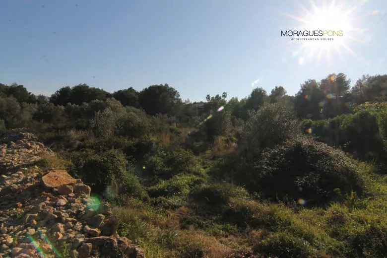 3 kavels in de Lluçà - 1/3