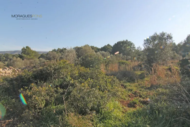 3 kavels in de Lluçà - 2/3