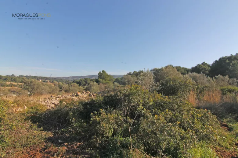 3 kavels in de Lluçà - 3/3