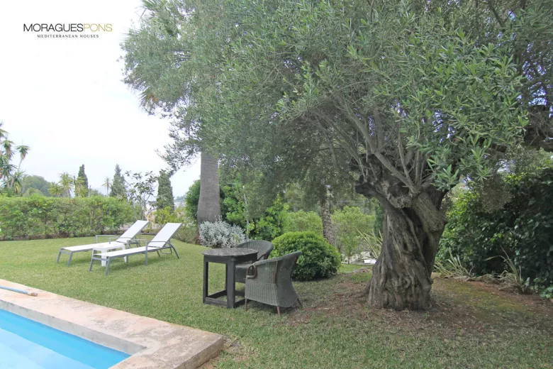 Fantástica villa a la venta en el Tosalet - 5/33