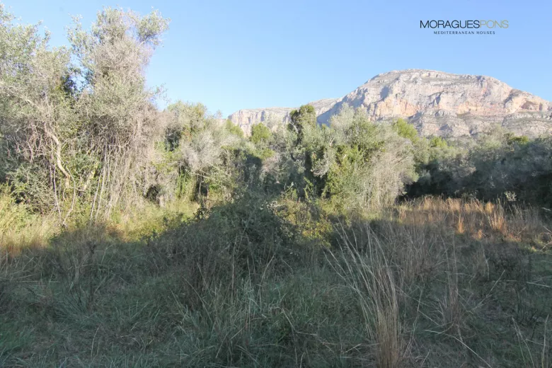 Grundstück-Eigenschaft En Valls - 2/3