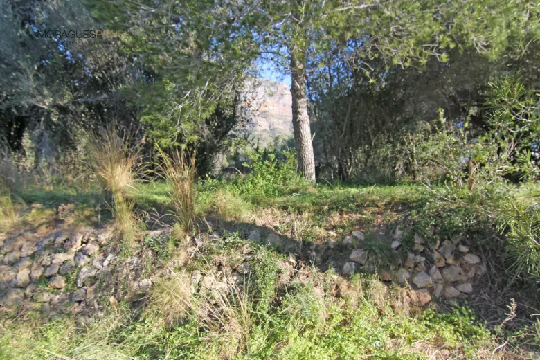 Grundstück-Eigenschaft En Valls - 3/3