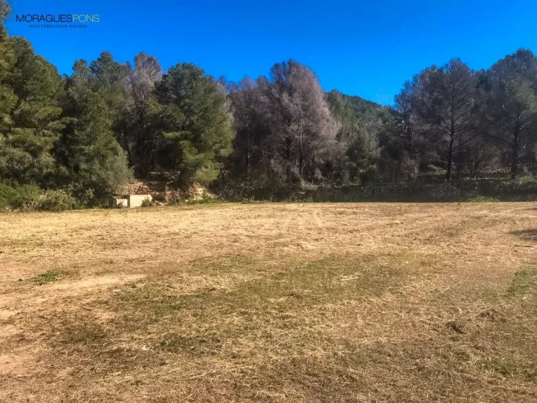 Perceel te koop in Jávea zuidfacing - 5/9