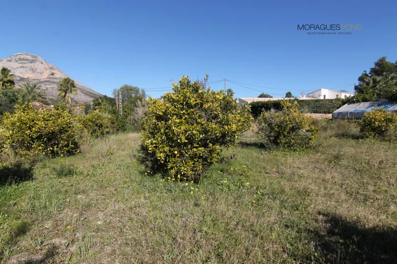 Grundstück in der Nähe des Dorfes - 2/4