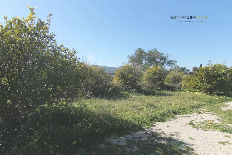 Grundstück in der Nähe des Dorfes - 3/4