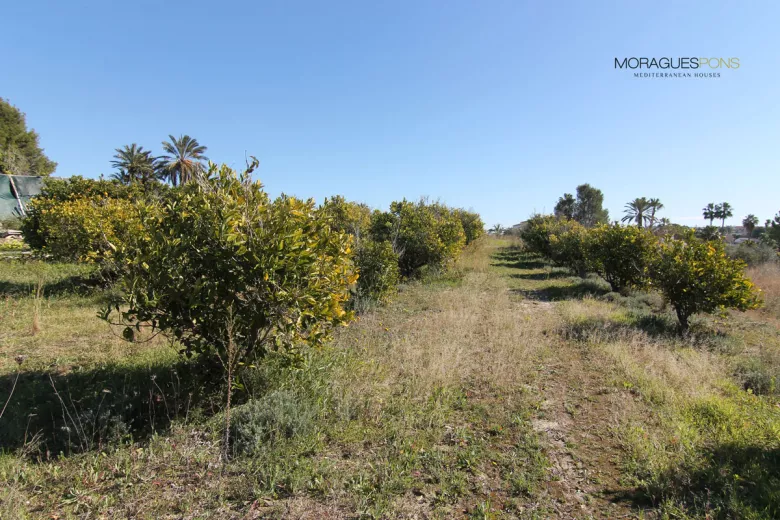 Grundstück in der Nähe des Dorfes - 4/4