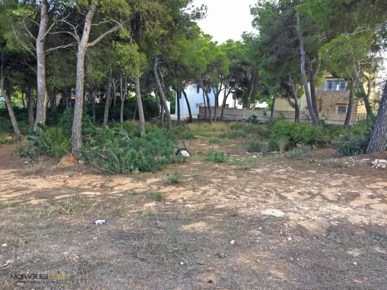 Tenemos más propiedades como la que estás buscando