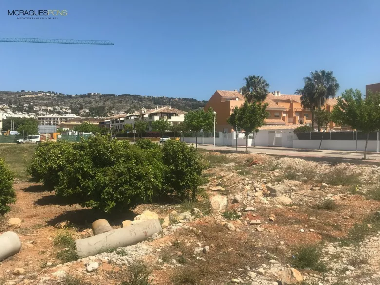 Image 7 of 7