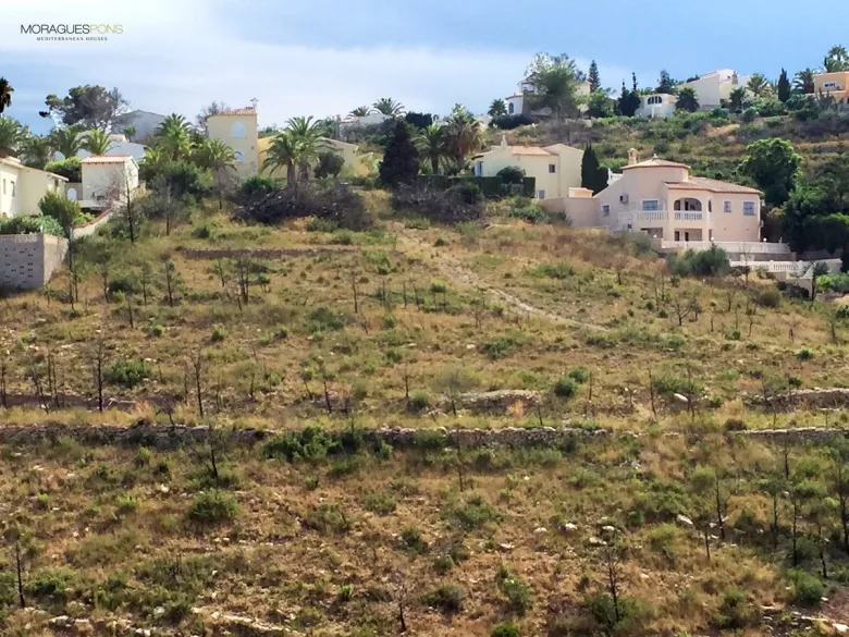 Image 6 of 6