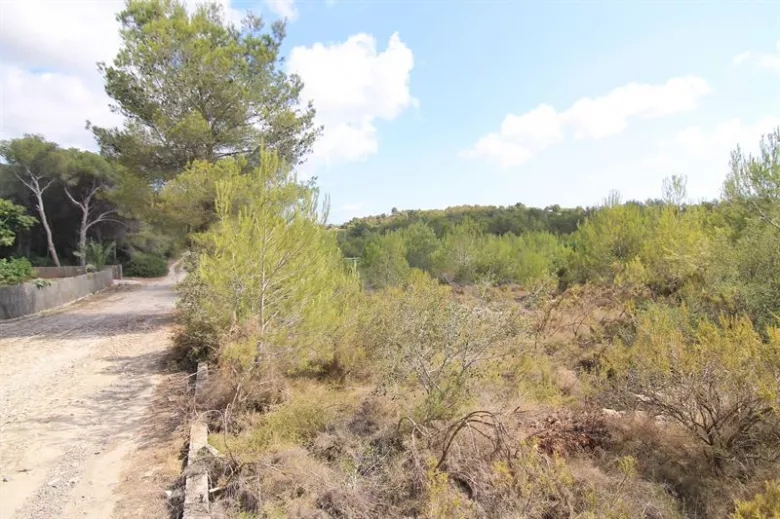 Parcela a urbanizar en Pinomar. Jávea. - 4/4