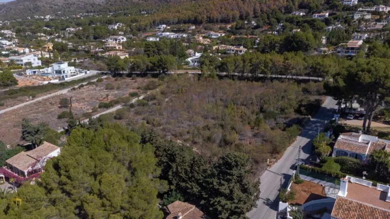 Parcela en el Montgó - Jávea - 2/15