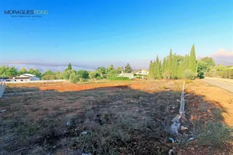 Flache Flaeche zu Verkaufen im Bereich Montgó (Javea) - 3/3