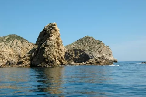 Image 15 of 22