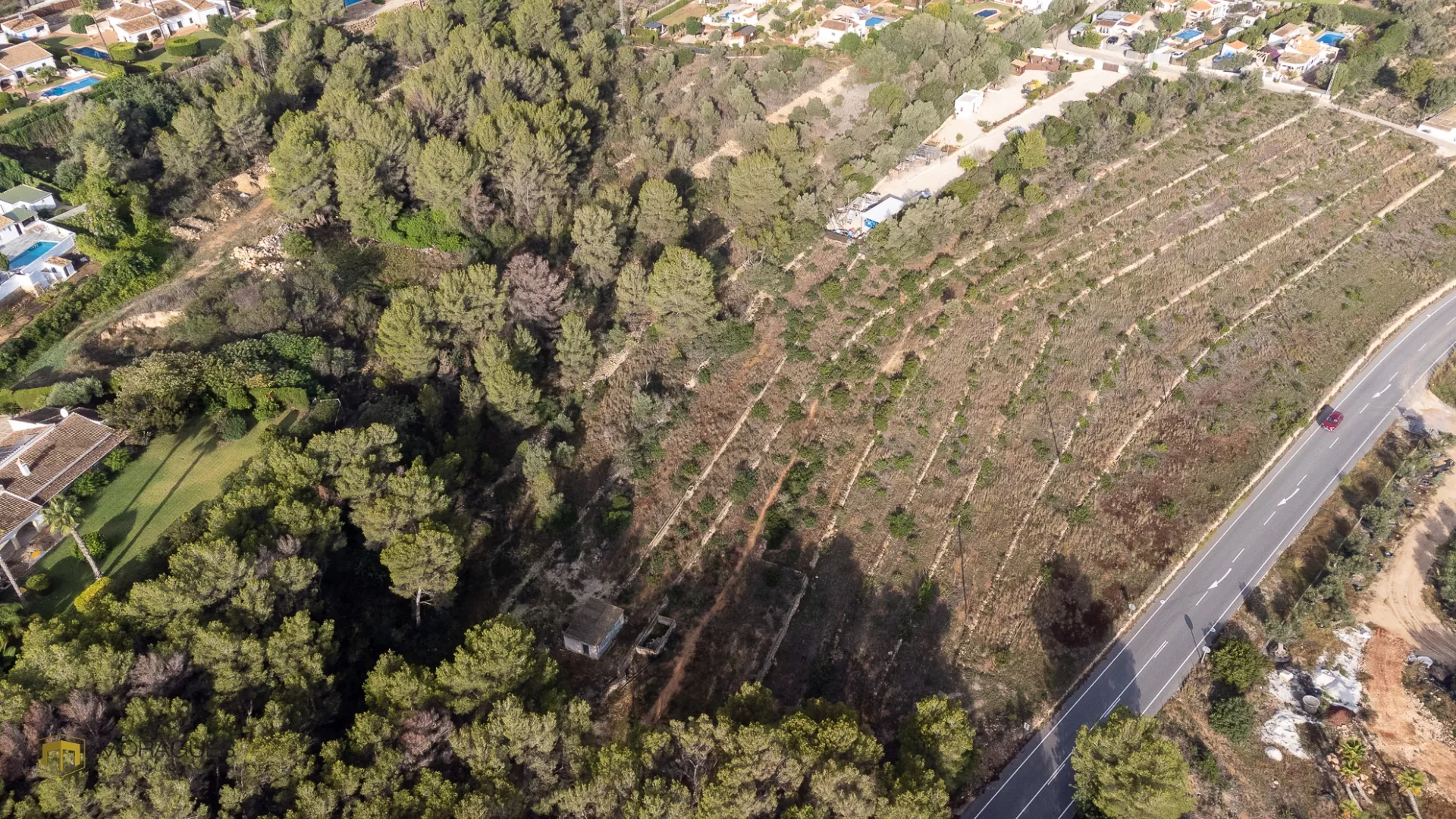 7000 m2 binnen de PAI LLuca 5 - 1/6