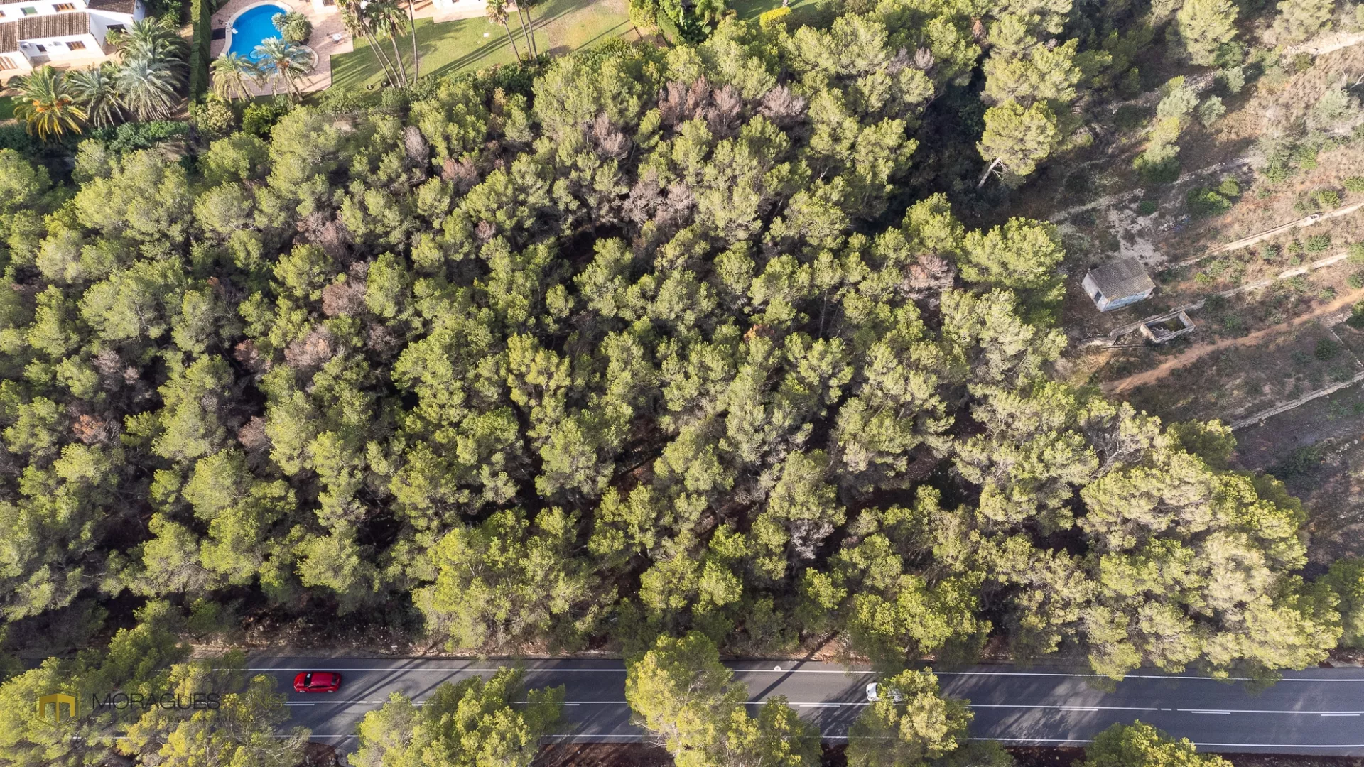 7000 m2 binnen de PAI LLuca 5 - 2/6