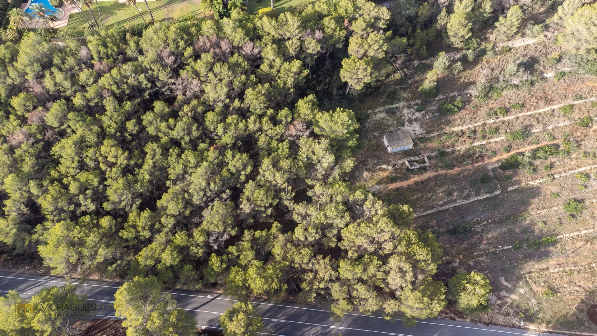 7000 m2 binnen de PAI LLuca 5 - 3/6