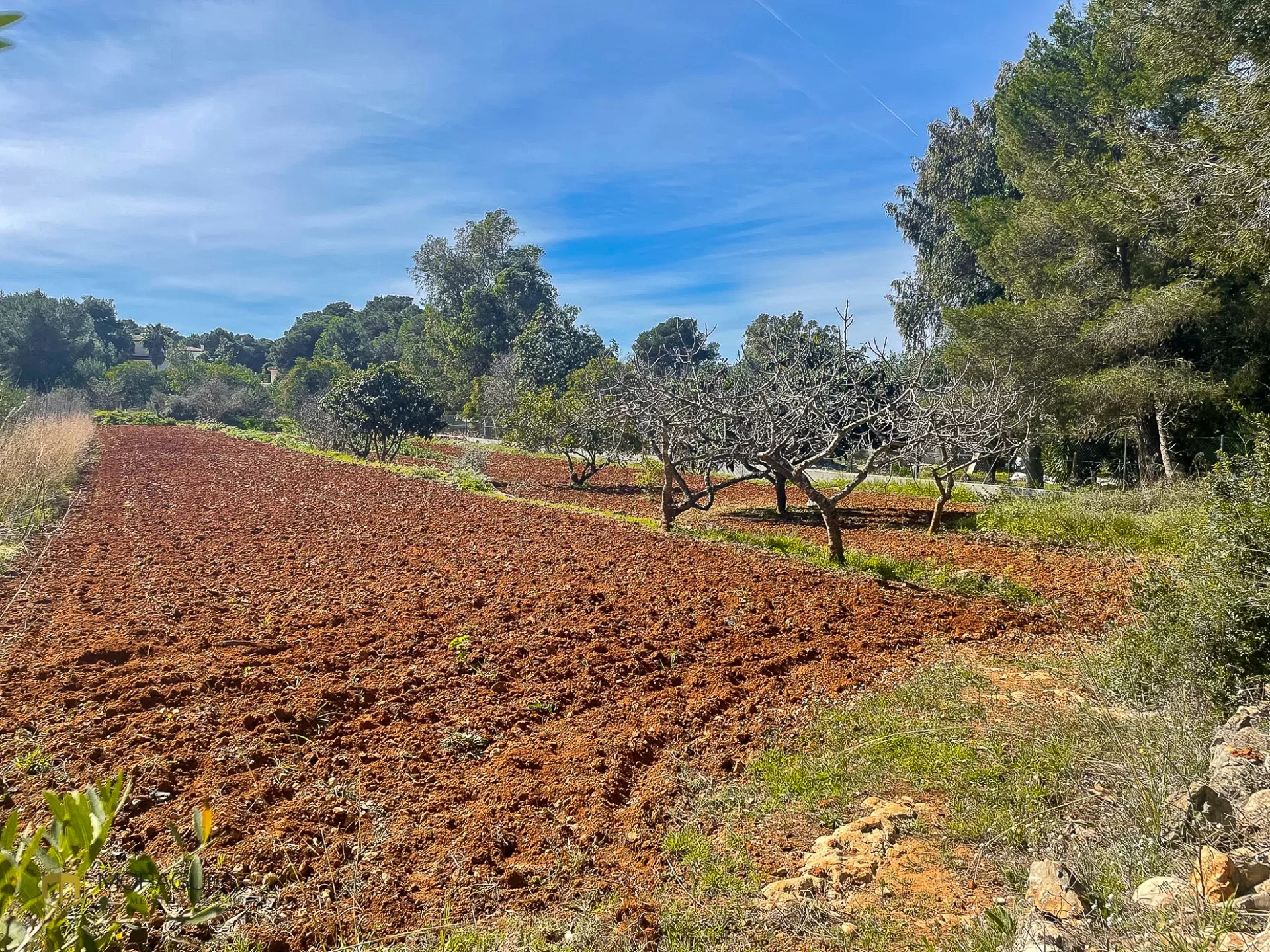 Landhuis voor renovatie in Portichol in Jávea - 4/6