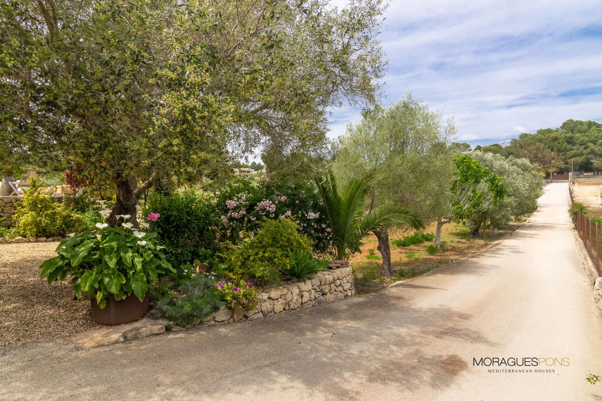Undeveloped Horse Estate.  Jávea . - 5/21