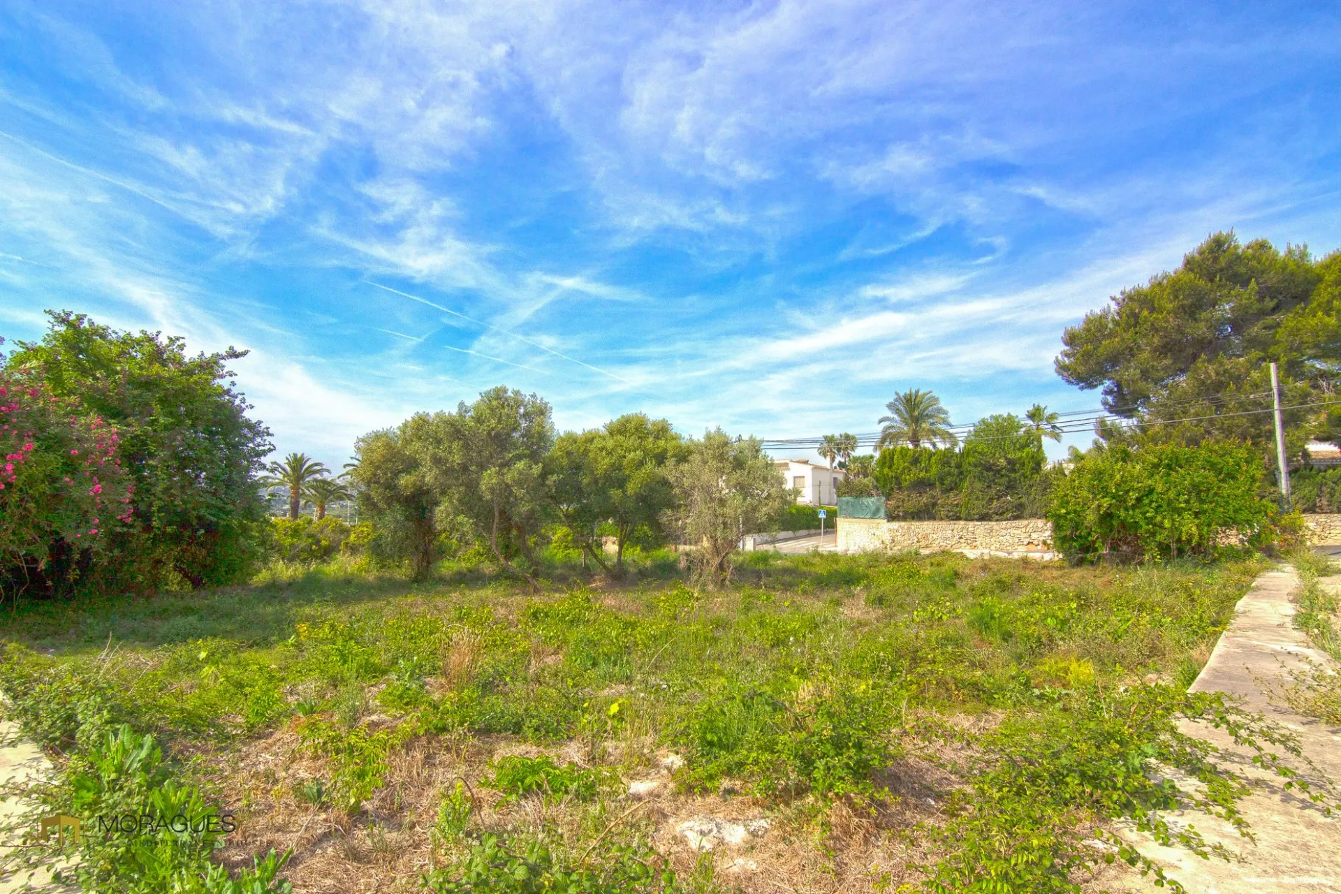 Perceel te koop naast het dorp - 2/4