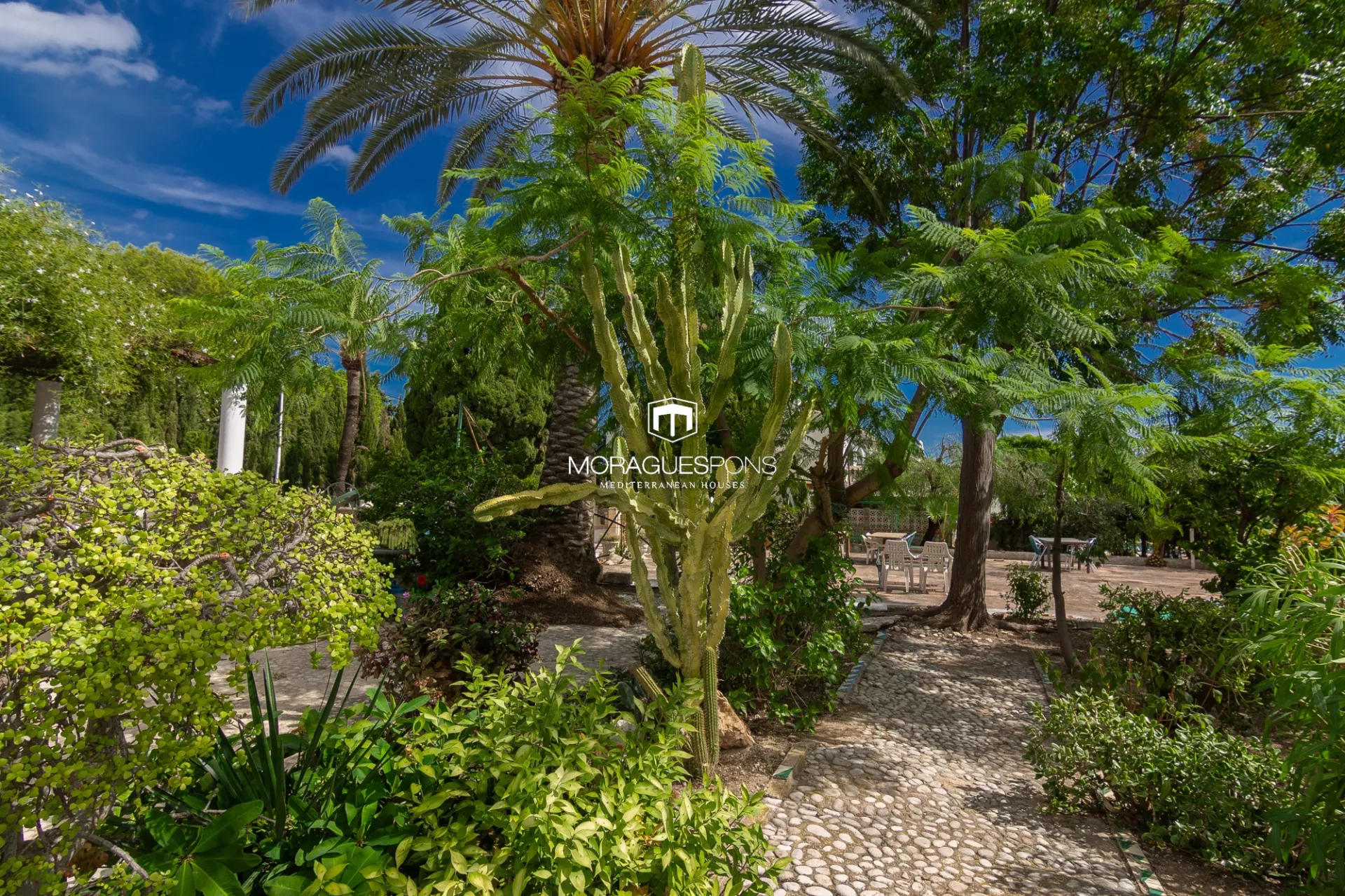 Villa dans la vielle ville , Jávea - 3/41