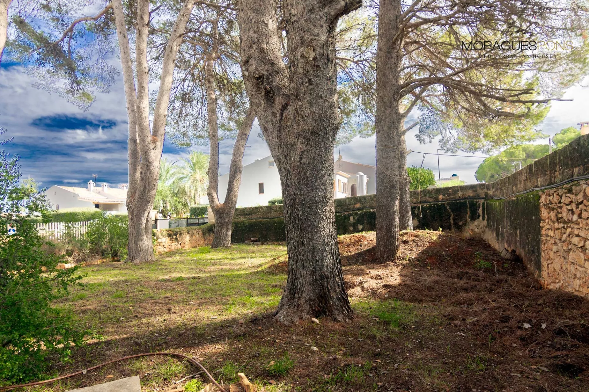 Echtes Haus im Herzen von Denia, in der Nähe des Hafens und des Strandes von La Marineta Casiana - 2/25