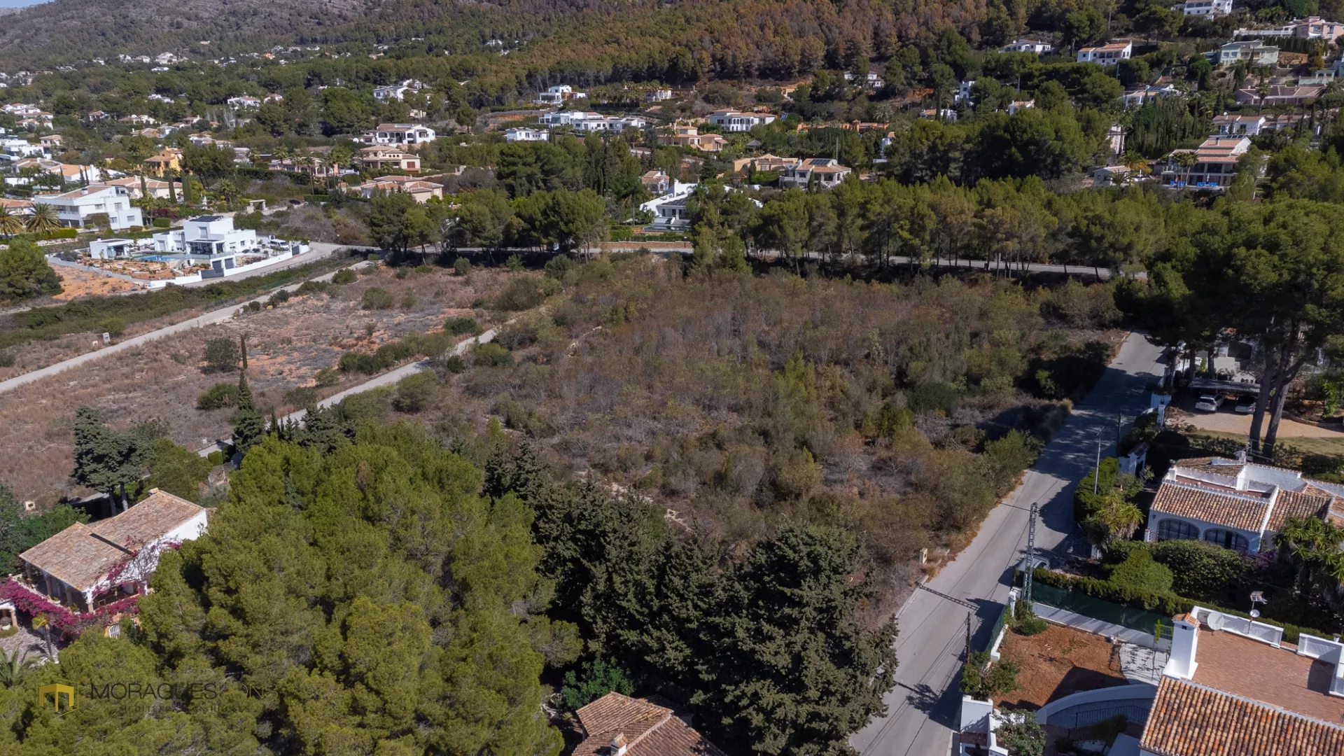 Terrain dans le Montgó - Jávea  - 2/15