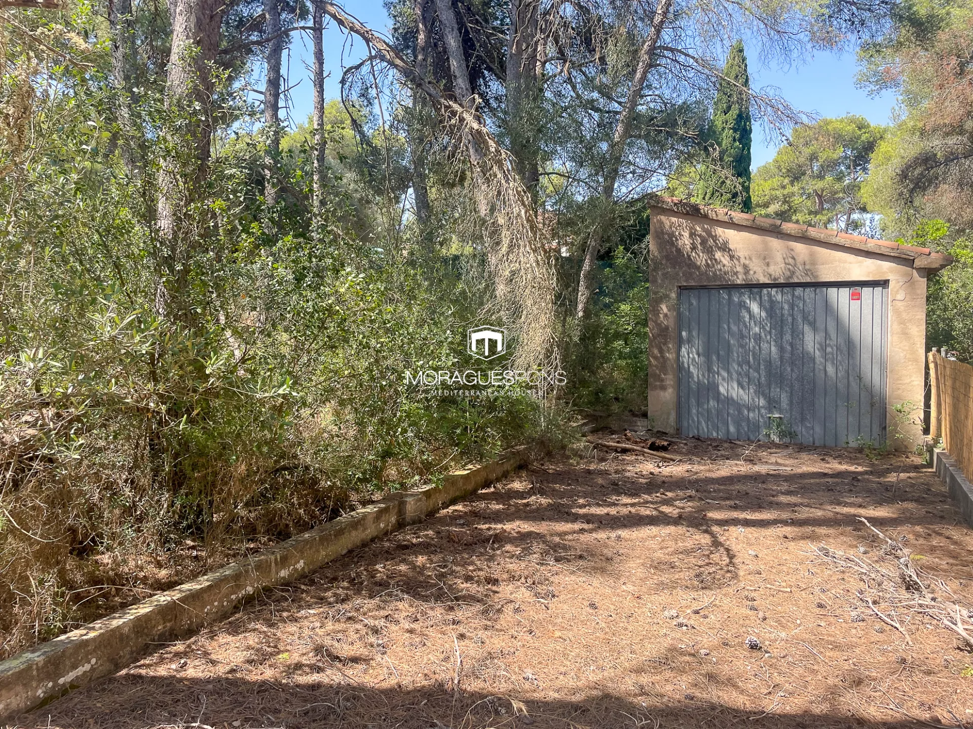 Image 11 of 25