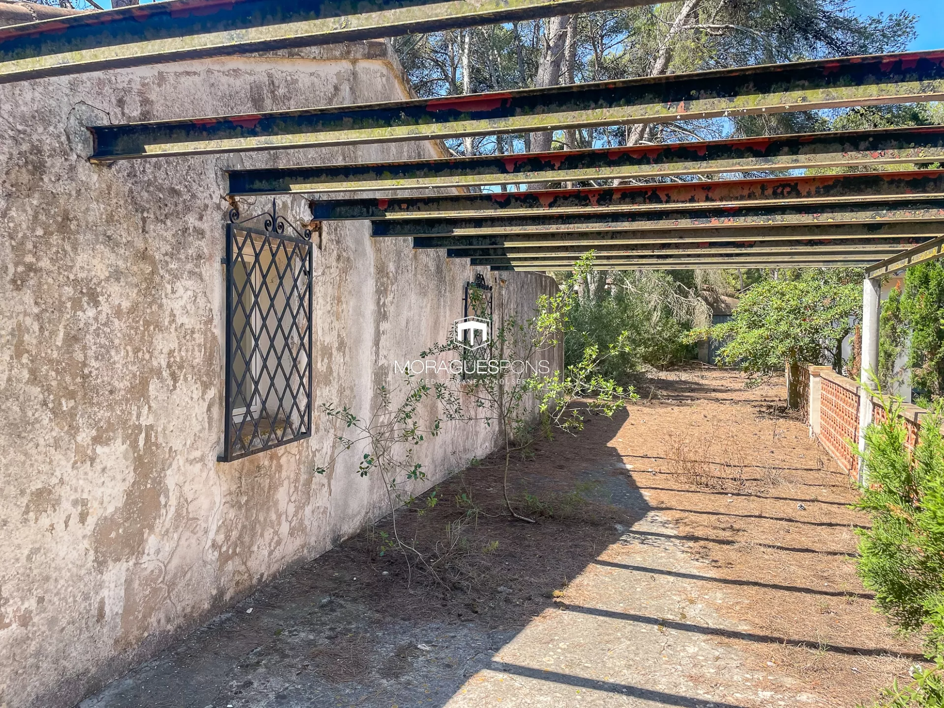Image 19 of 25