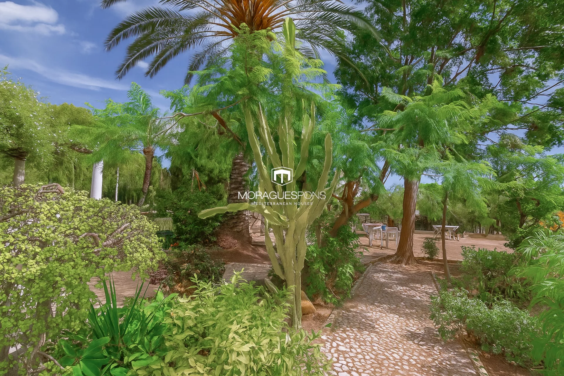 Image 36 of 37