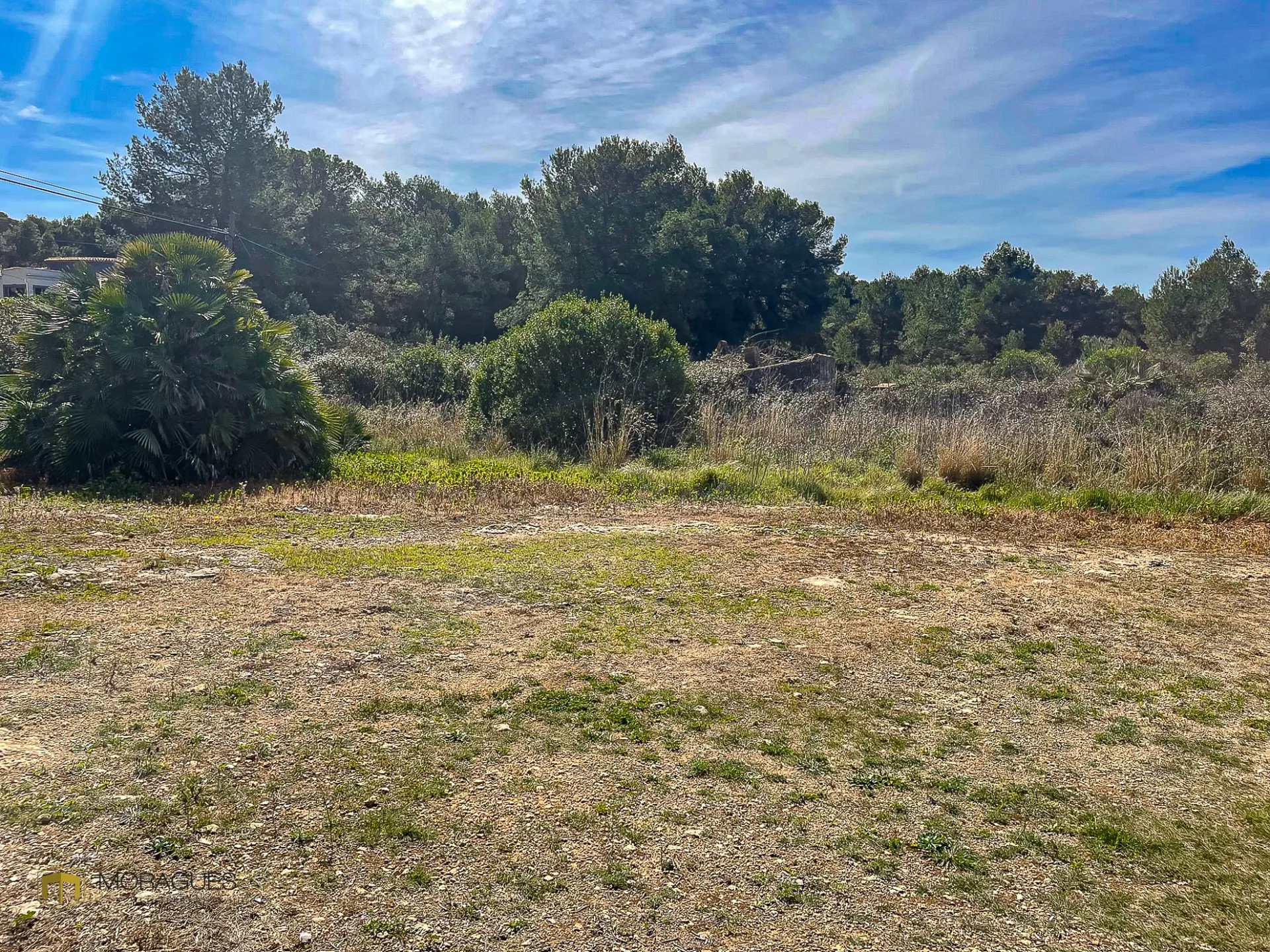 Image 6 of 6