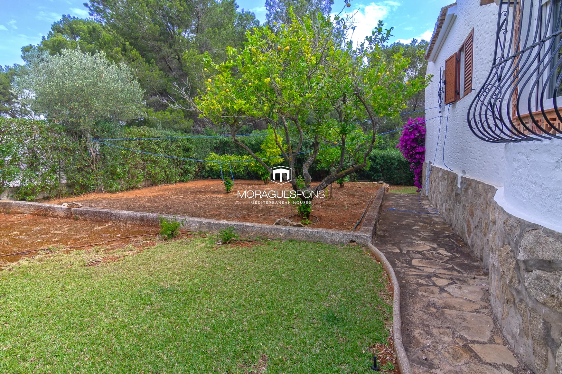 Image 42 of 47