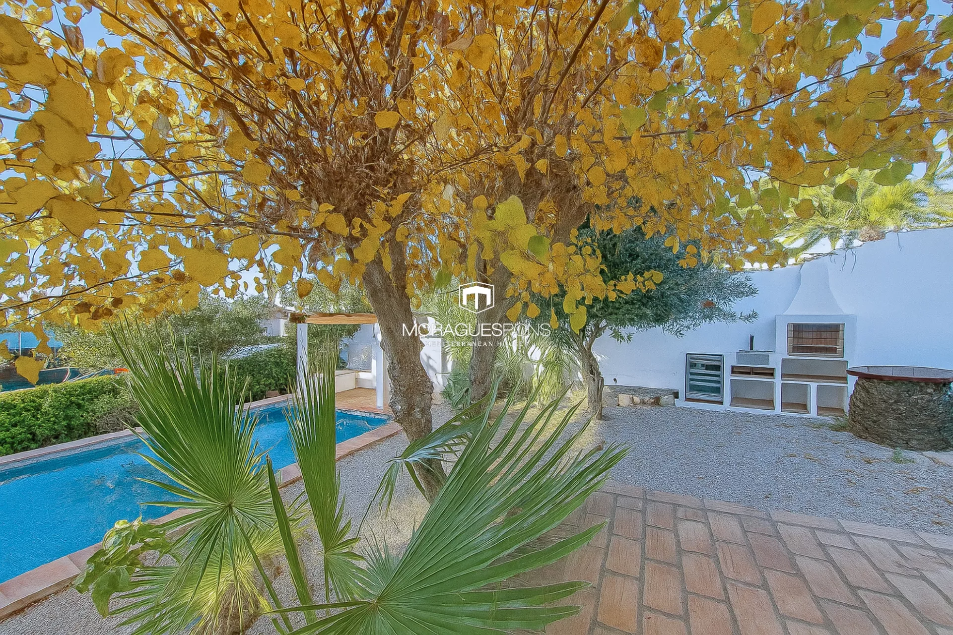 Image 6 of 43