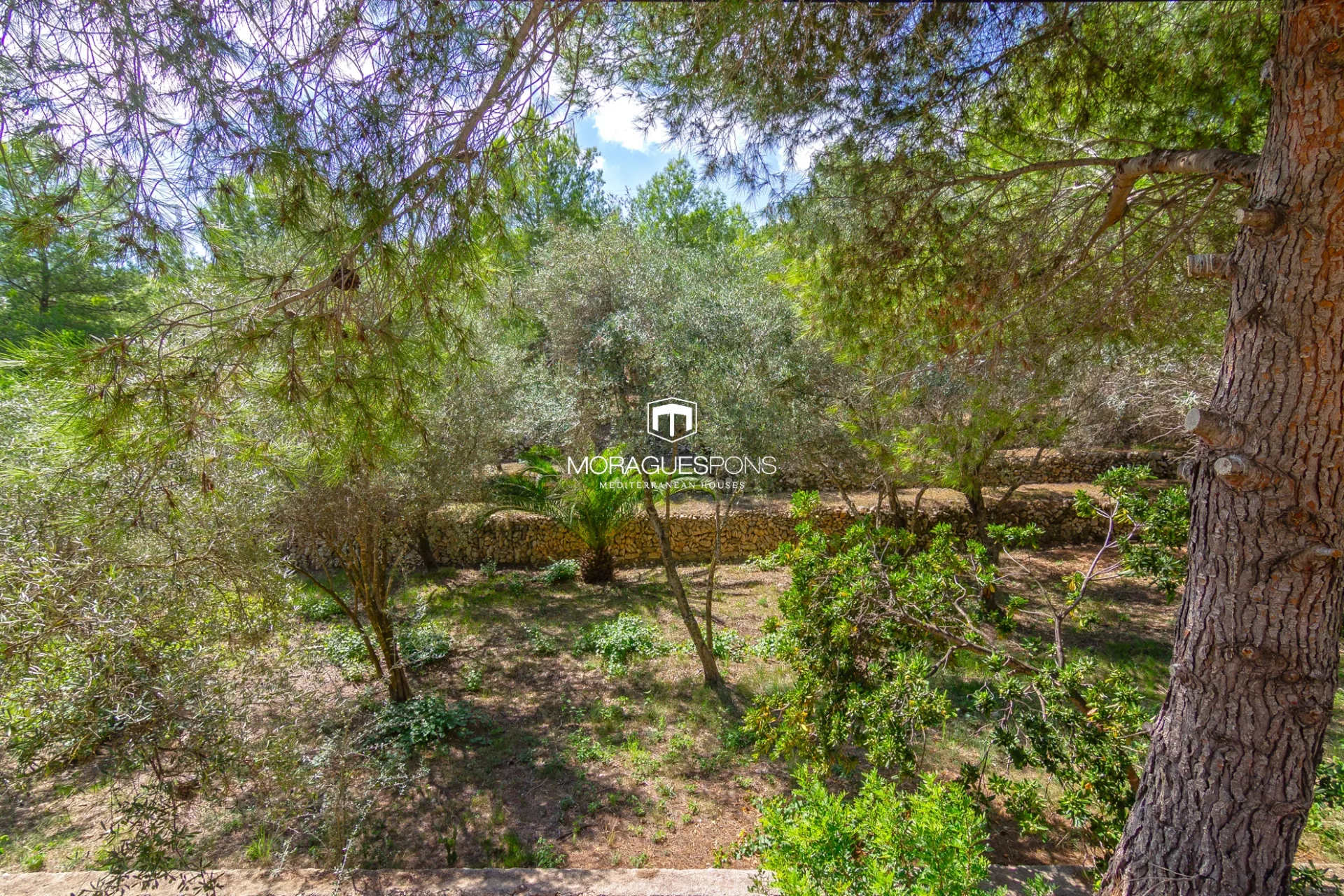 Image 17 of 25