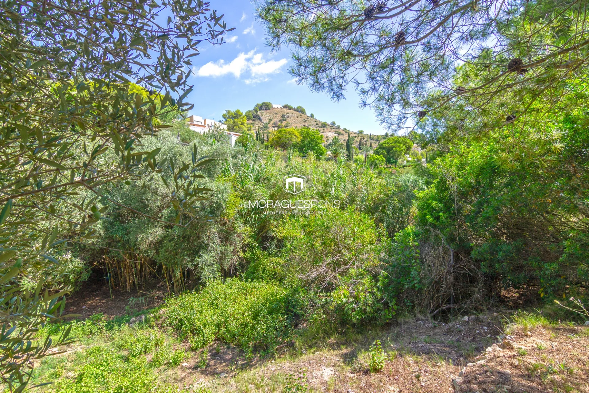 Image 19 of 25