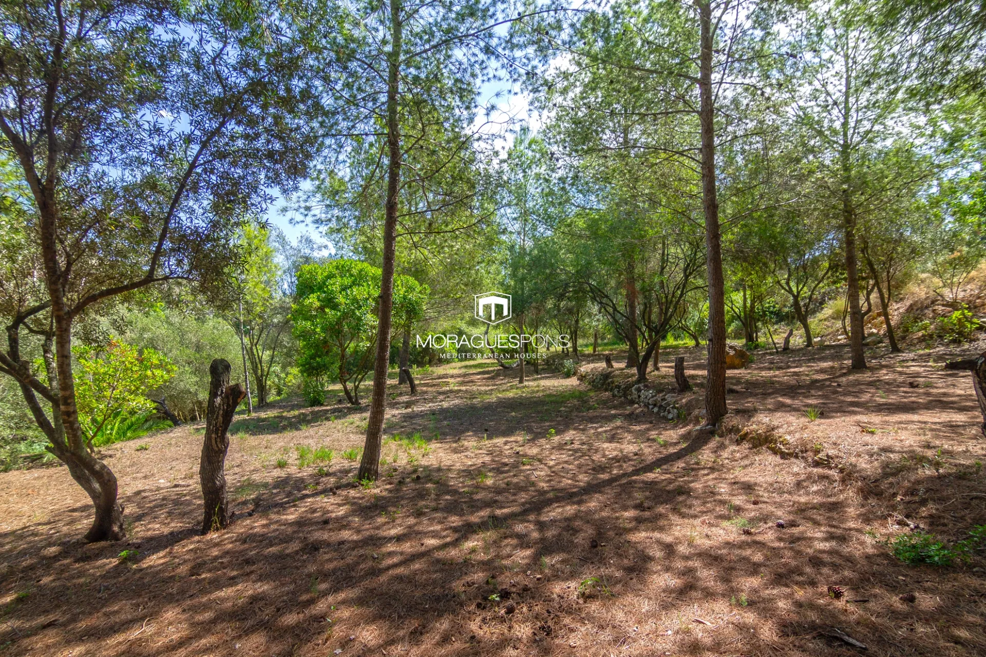 Image 21 of 25