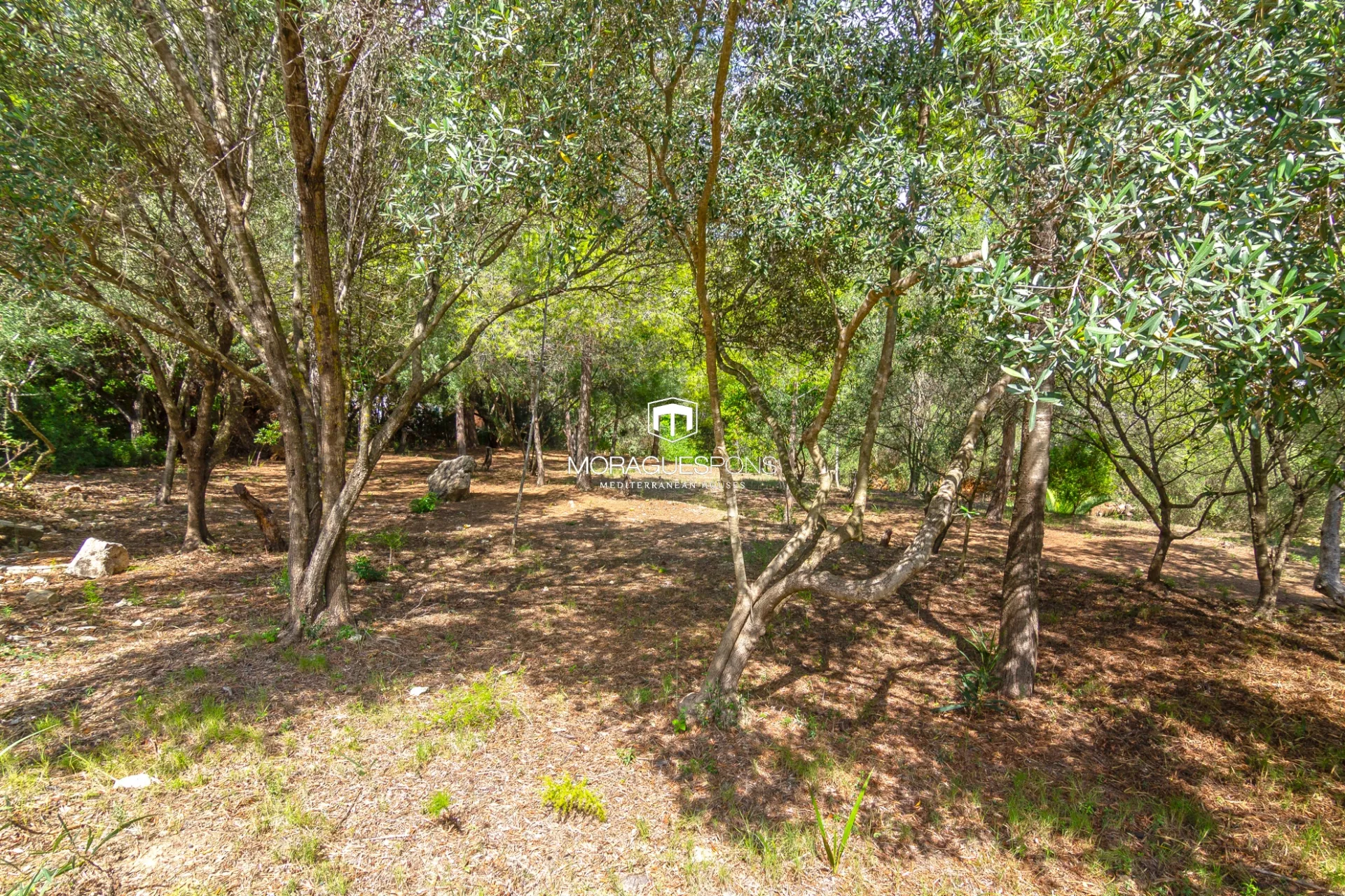 Image 22 of 25