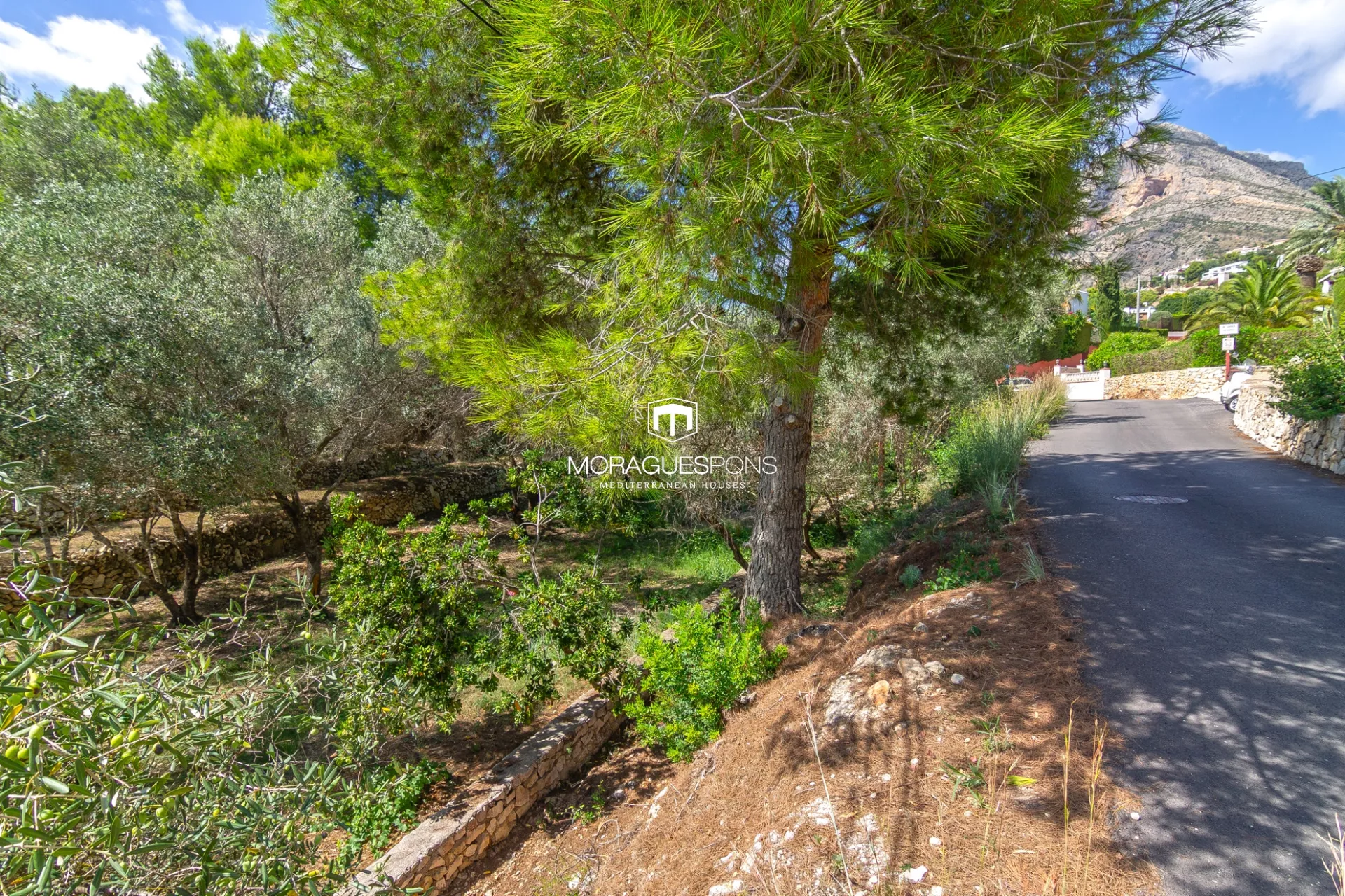 Image 6 of 25