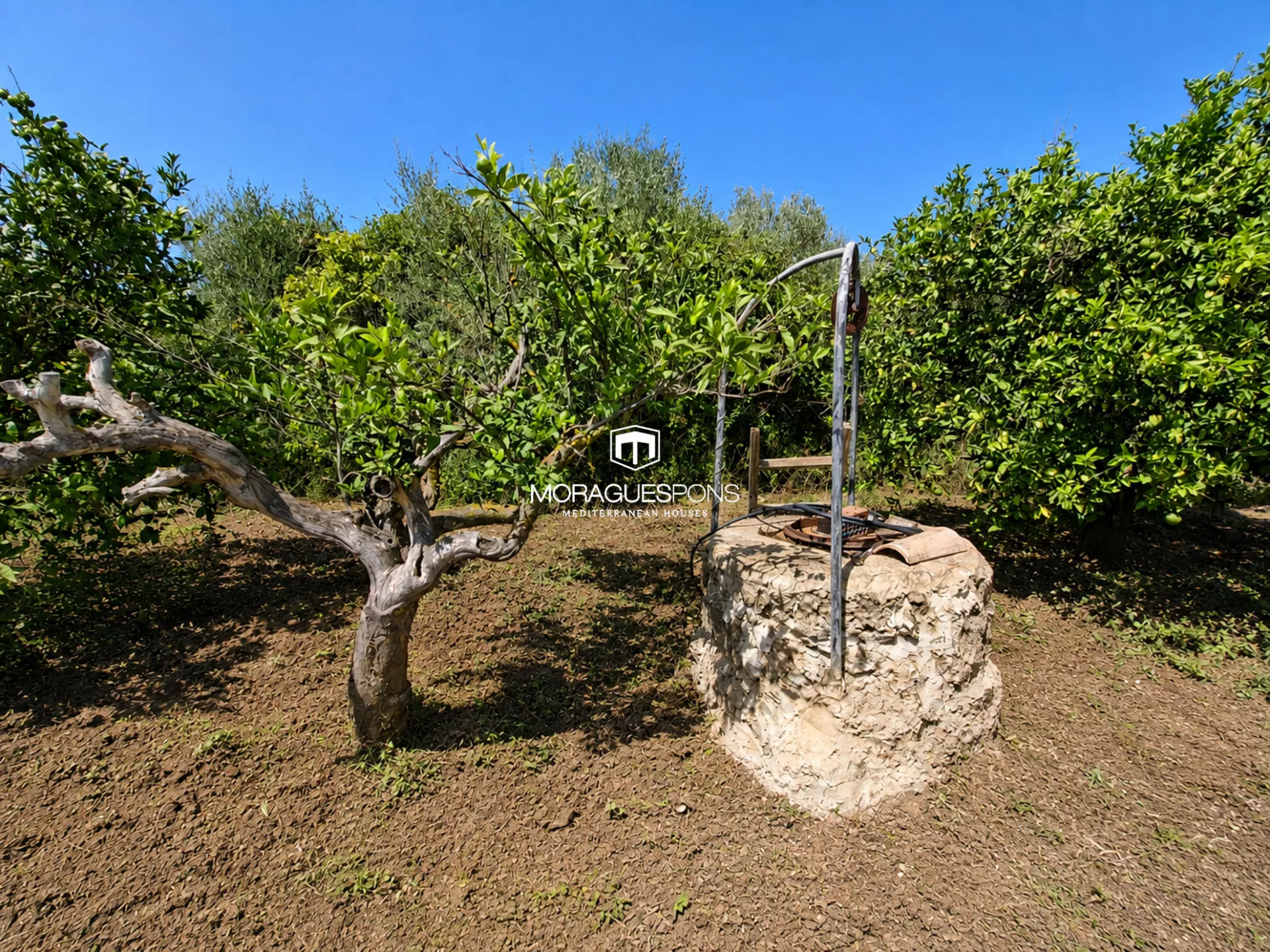 Image 20 of 23