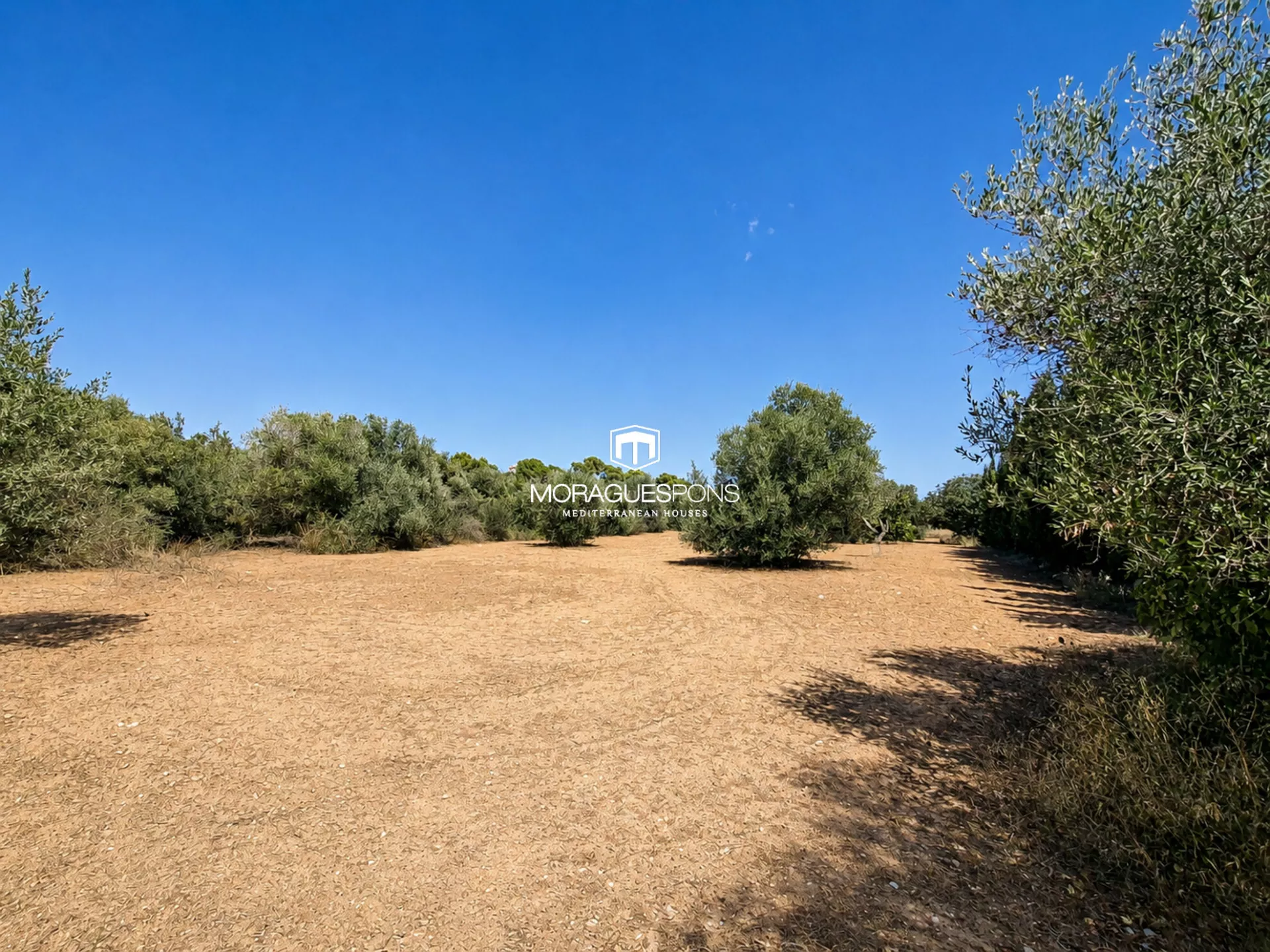 Image 23 of 23