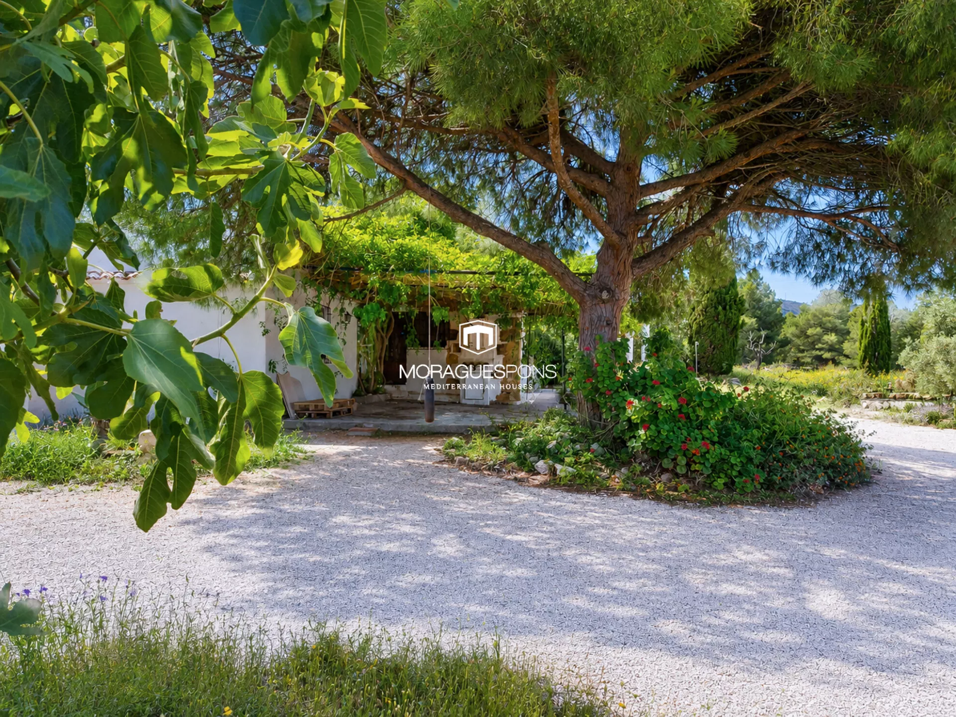 Traditionelle Finca in Jávea mit 16.000 m² Grundstück - 3/34