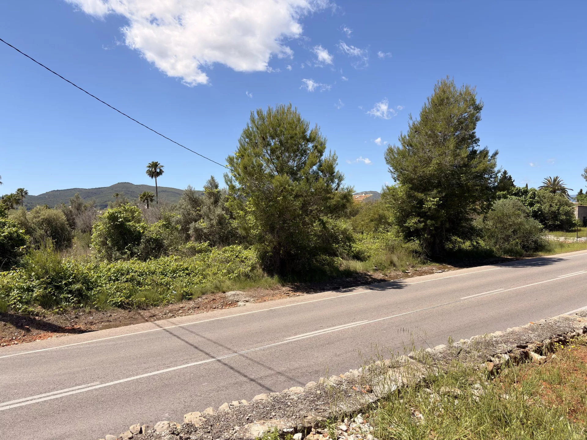 EXCLUSIVE URBAN PLOT IN THE MONTGÓ OF JÁVEA - 5/6