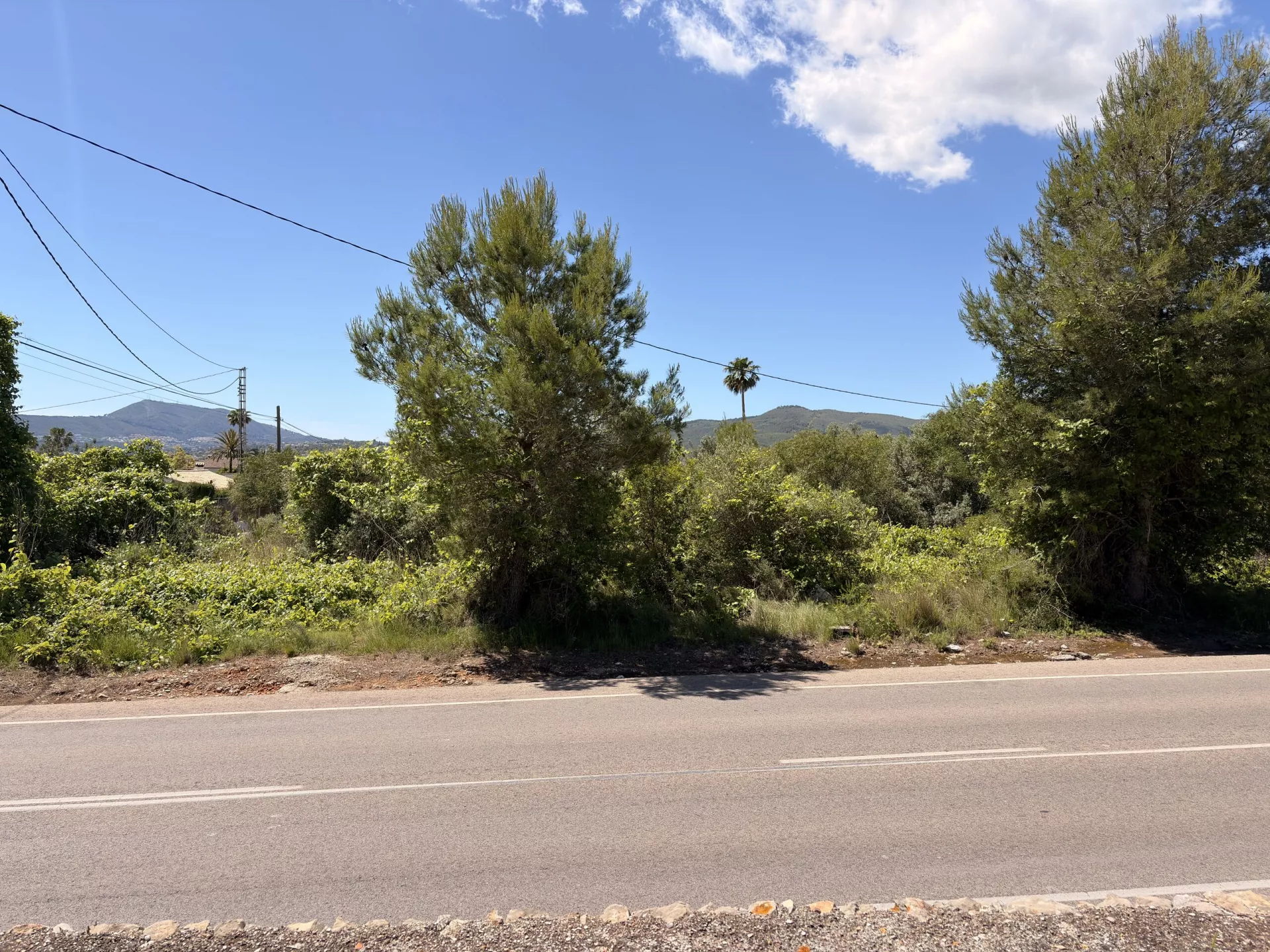 Image 6 of 6