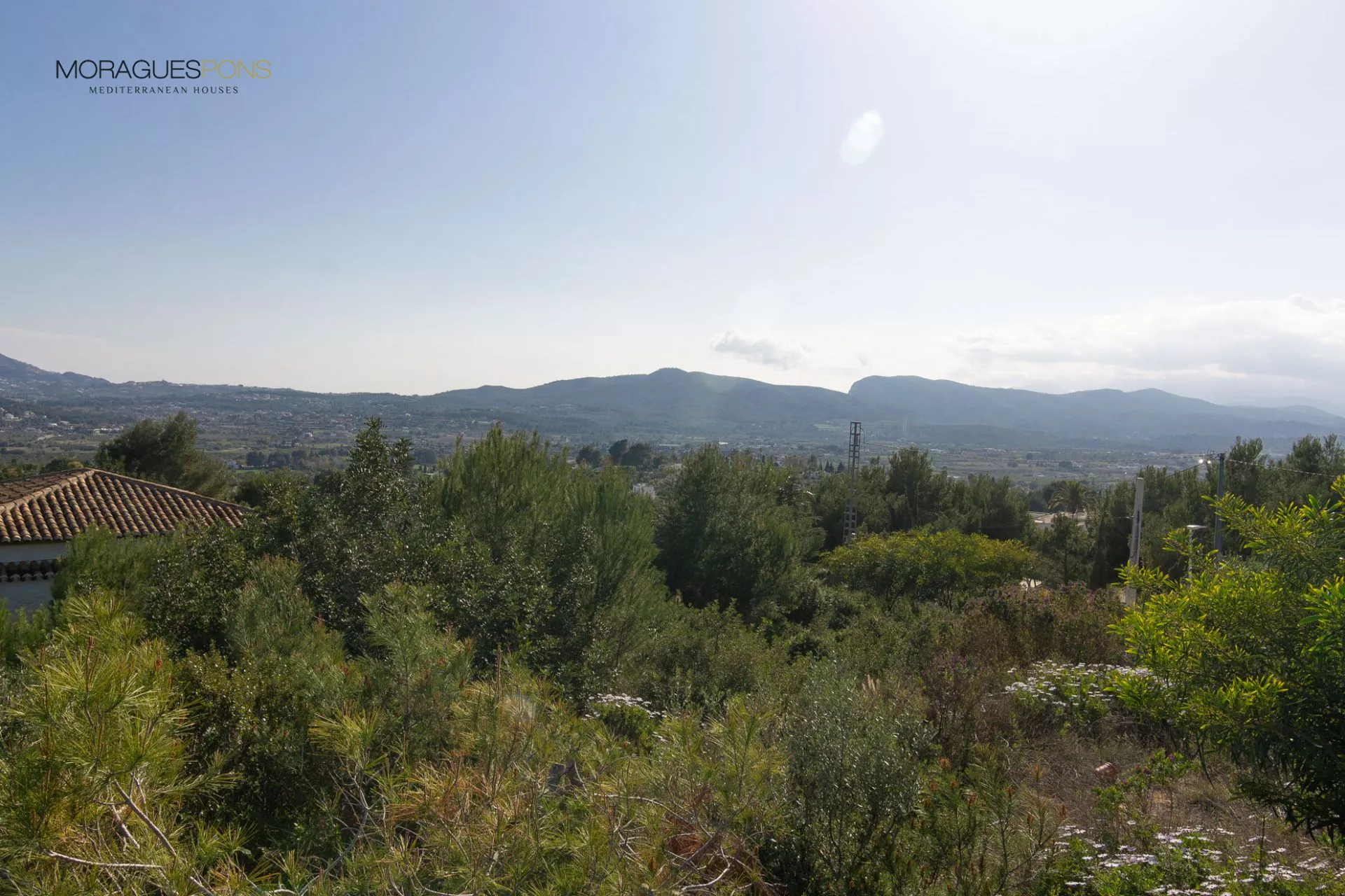 Image 6 of 6