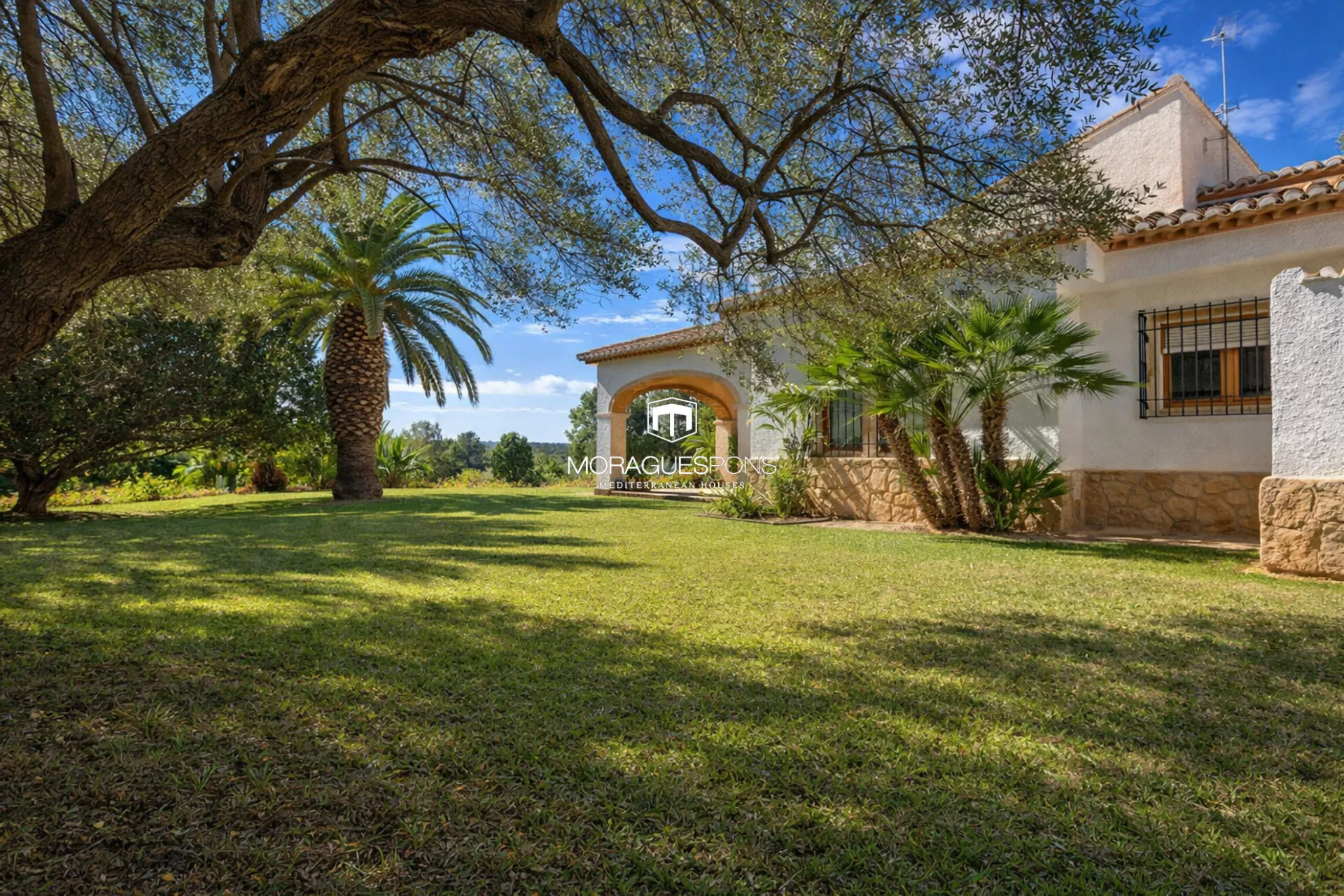 Image 7 of 56