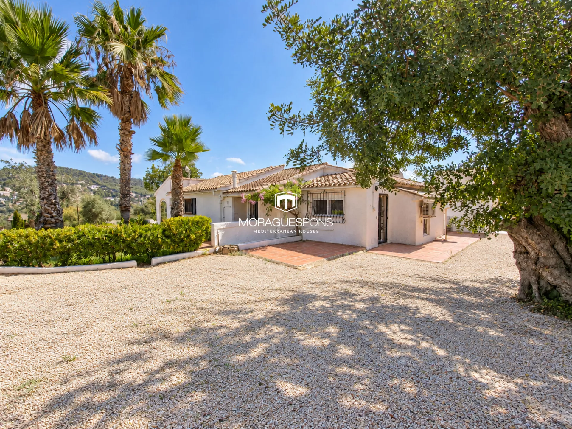 Image 38 of 55