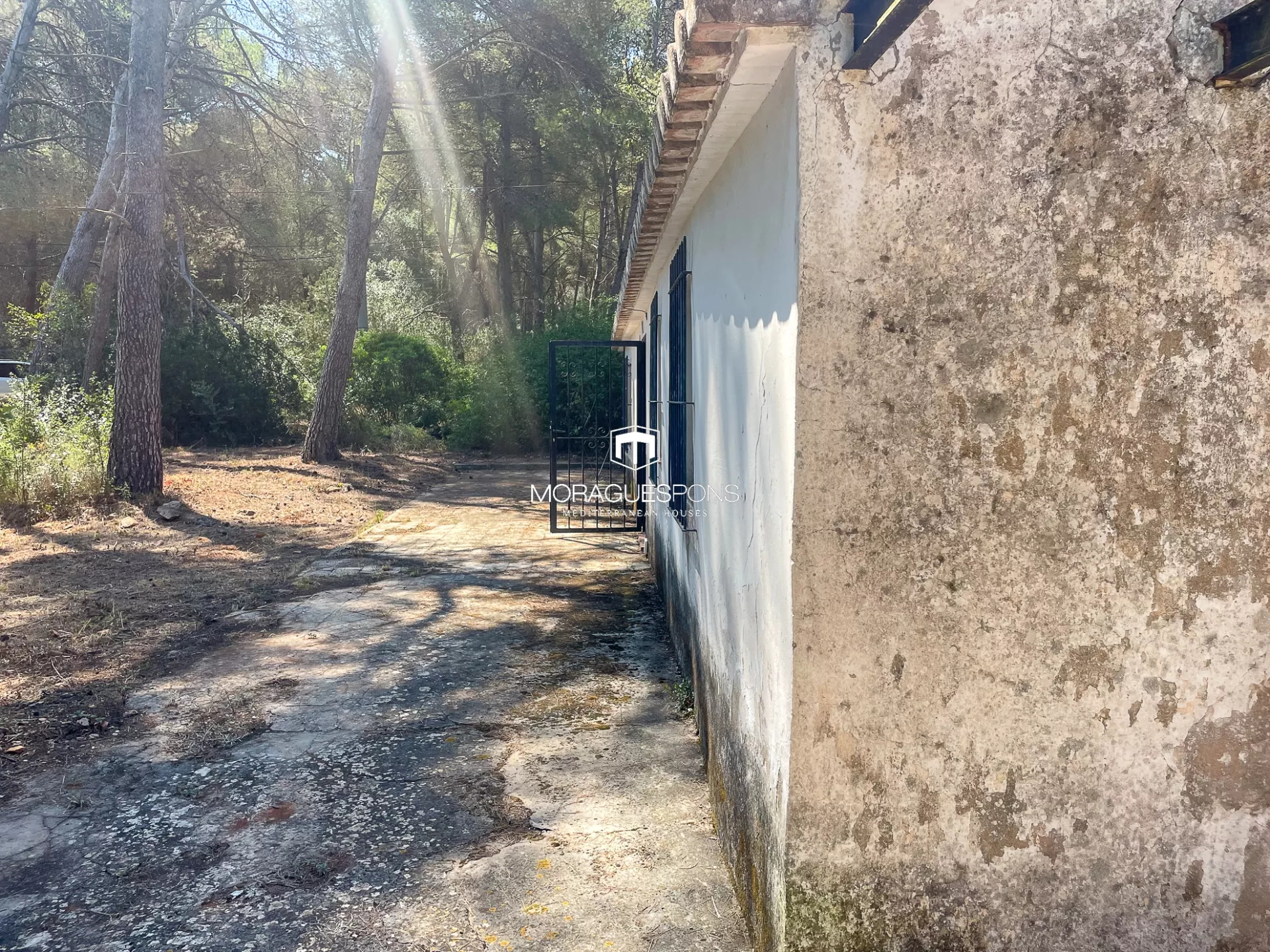 Image 10 of 25